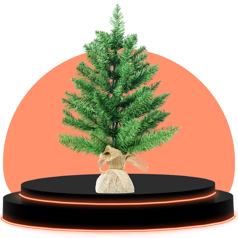 Brazi de Craciun verzi