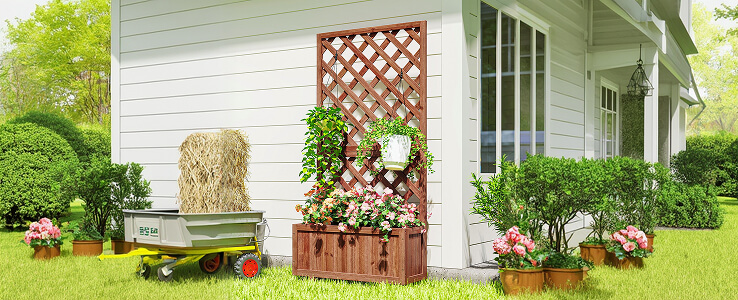 Grădinărit cu stil și ușurință