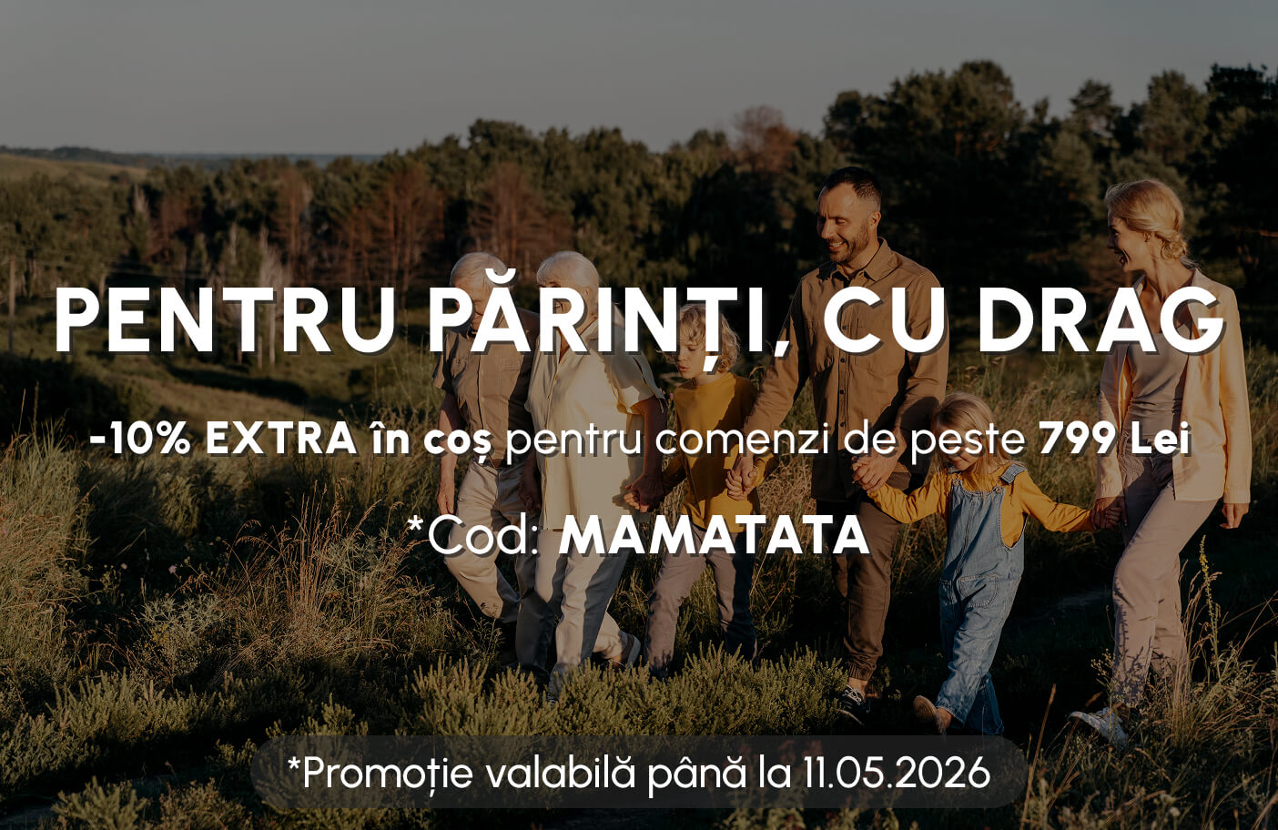 Banner Title