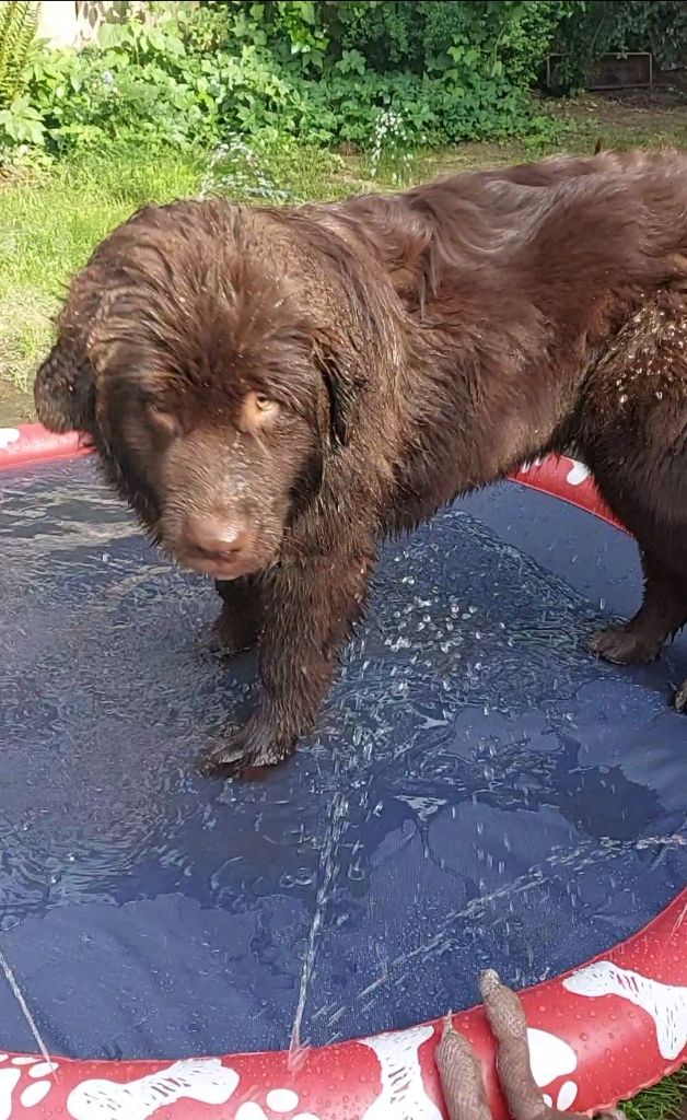 Ruby loves it