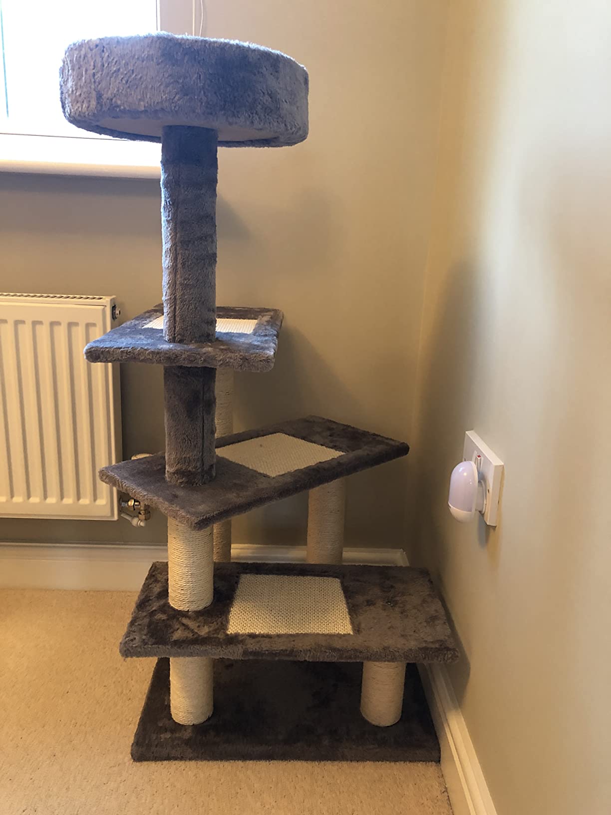 Great little tree