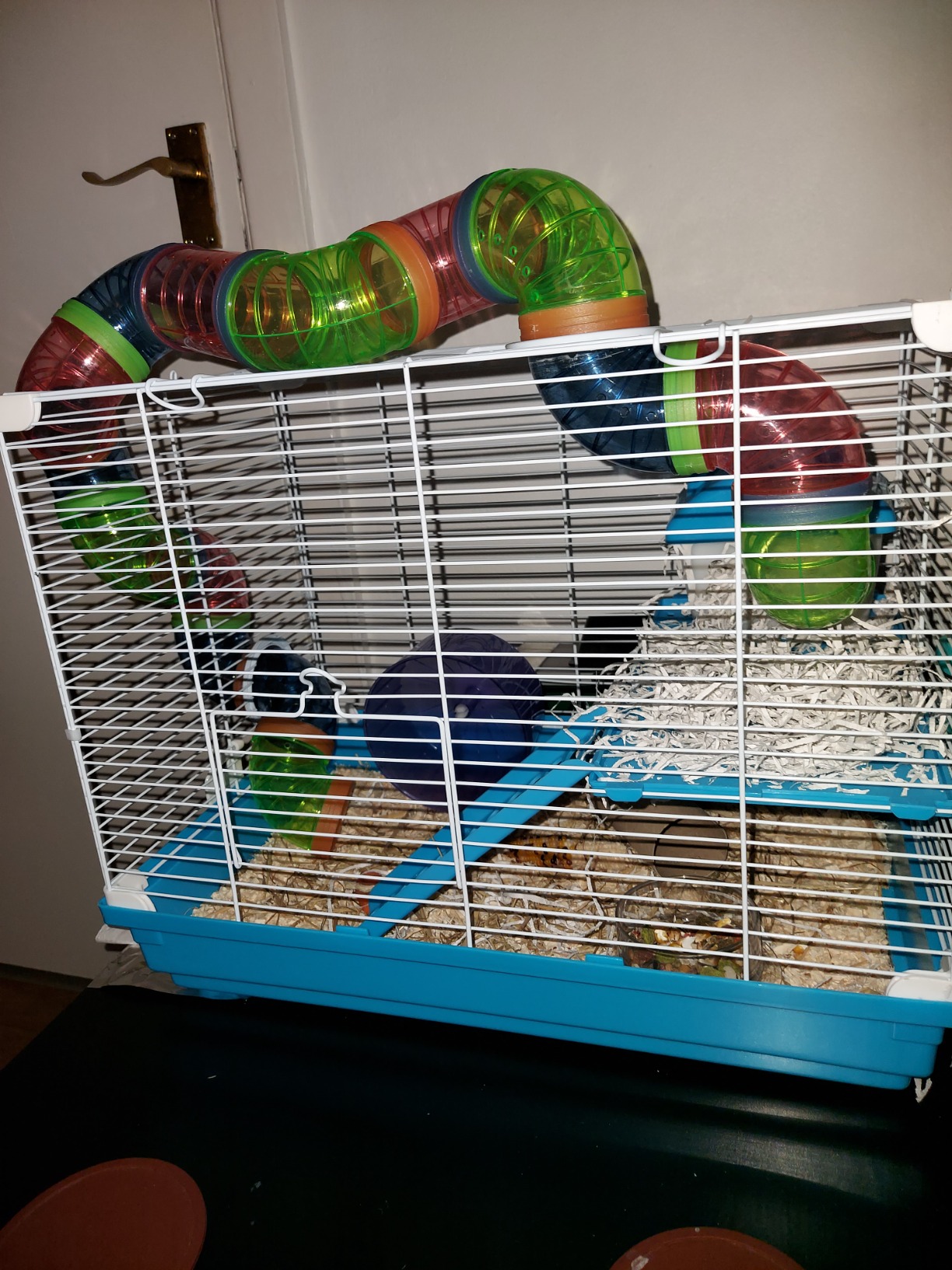 Perfect home for your small pet