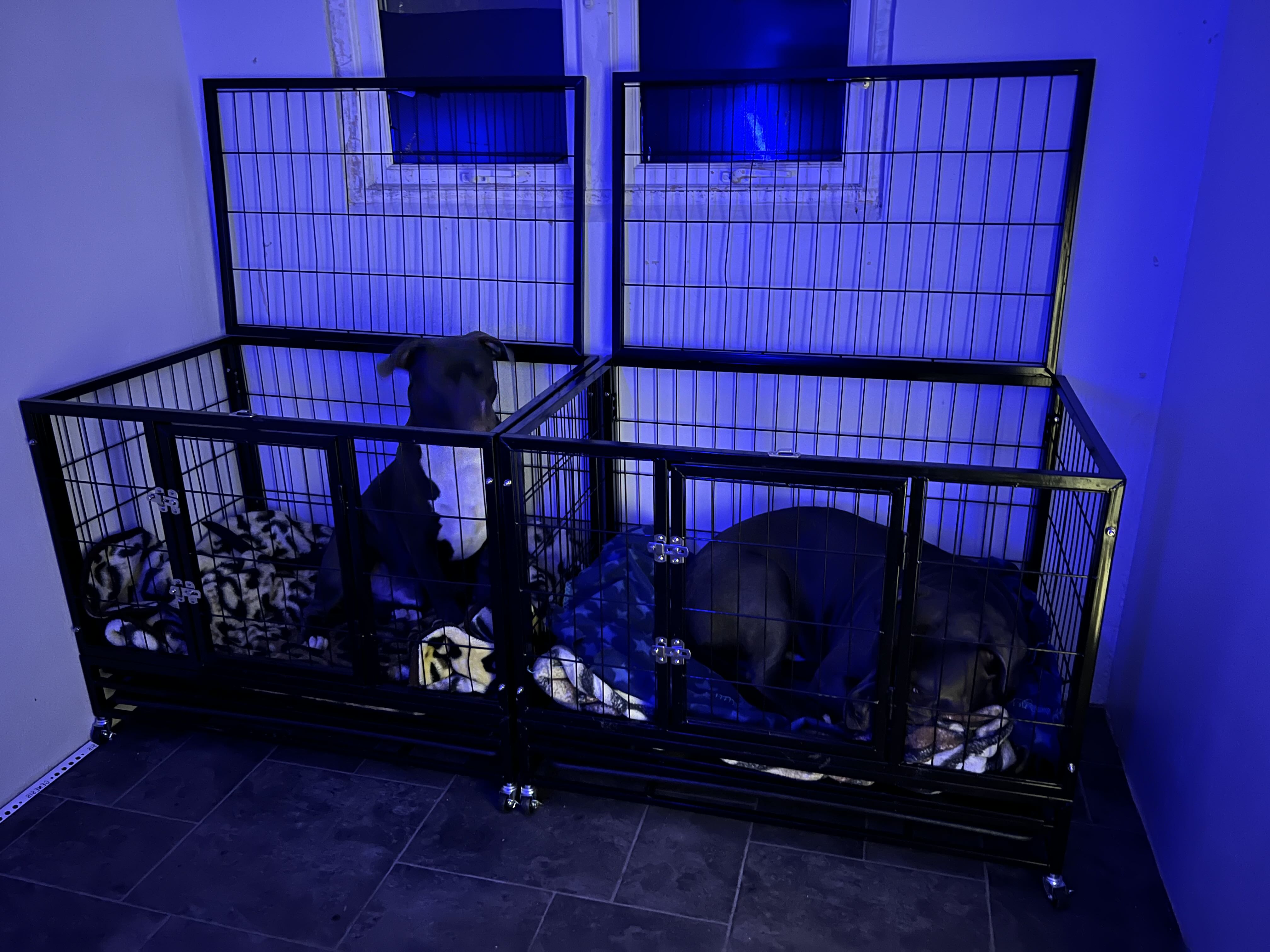 PawHut 38" Heavy Duty Metal Dog Kennel Pet Cage with Crate Tray and