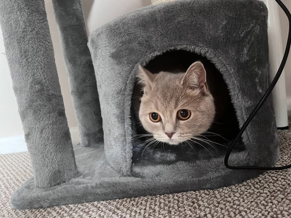 A little unsteady, but good