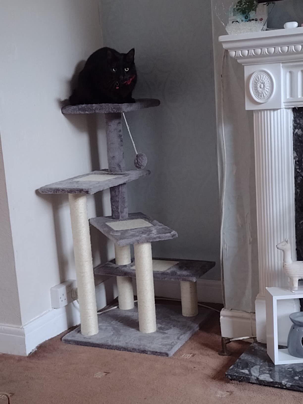 Lovely sturdy cat tree.
