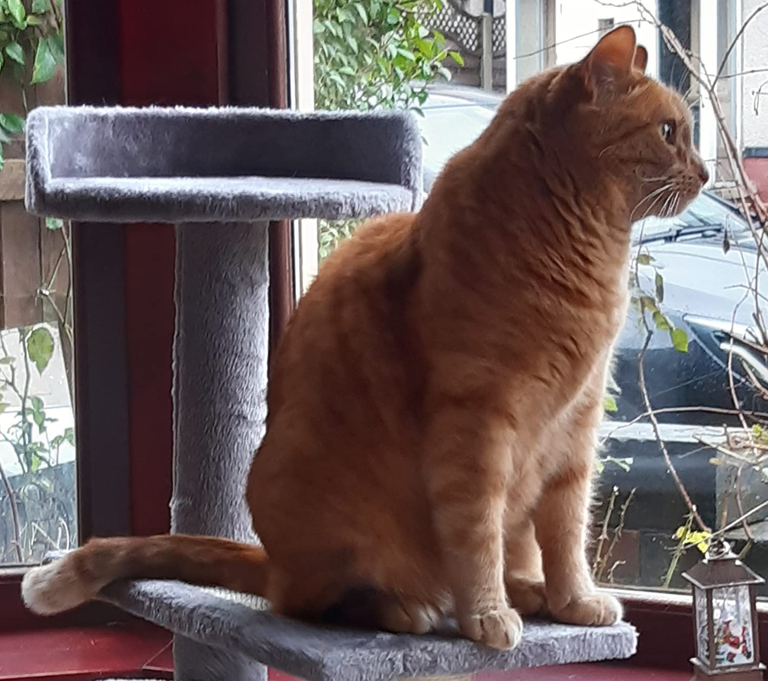 Puuuurrrrfect!