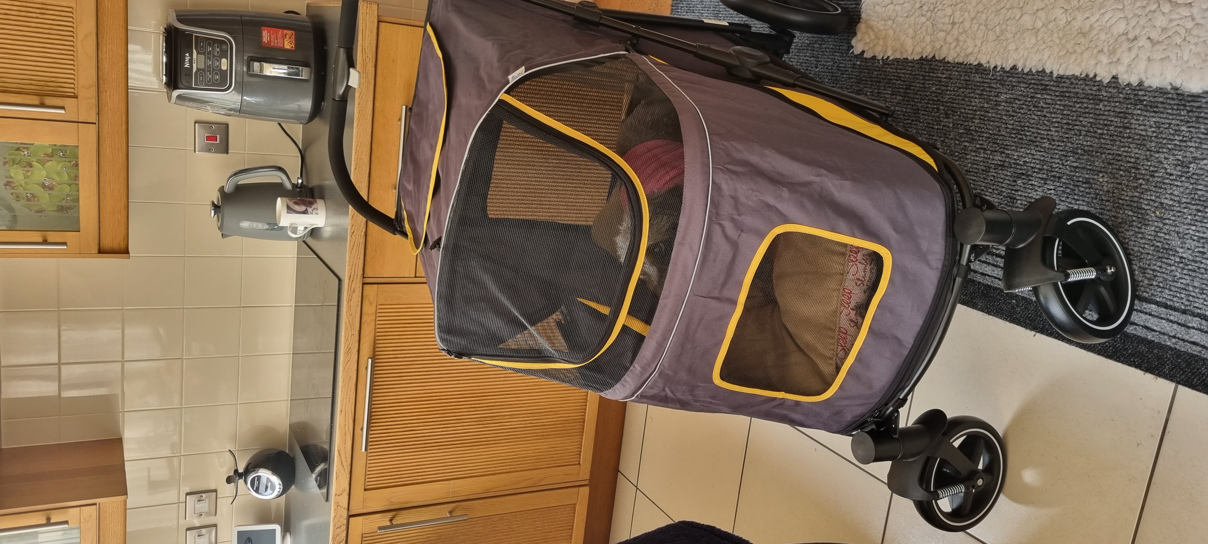 Ecstatic at the quality of this buggy for the price