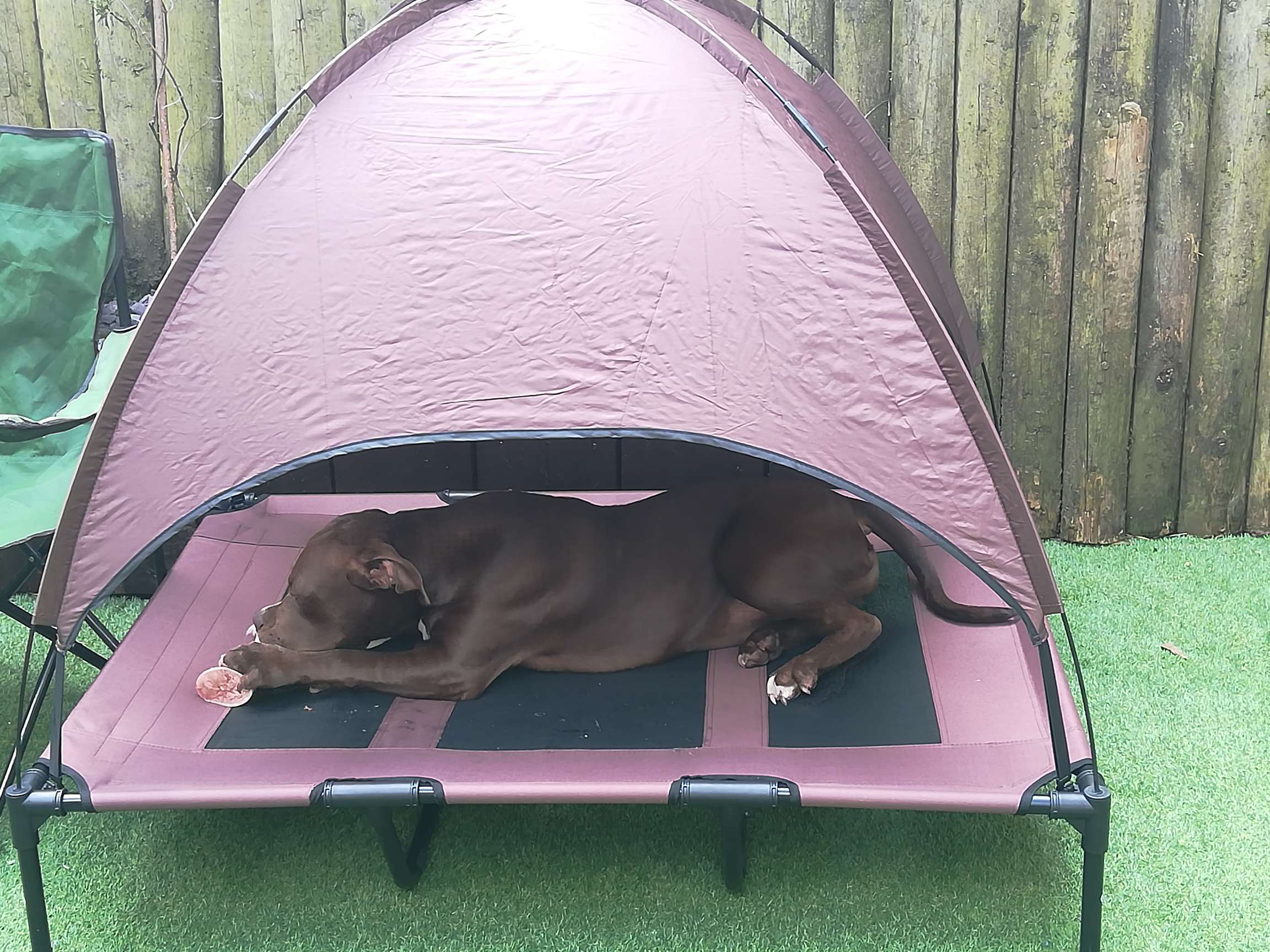 PawHut Raised Dog Bed Waterproof Elevated Pet Cot with Breathable Mesh