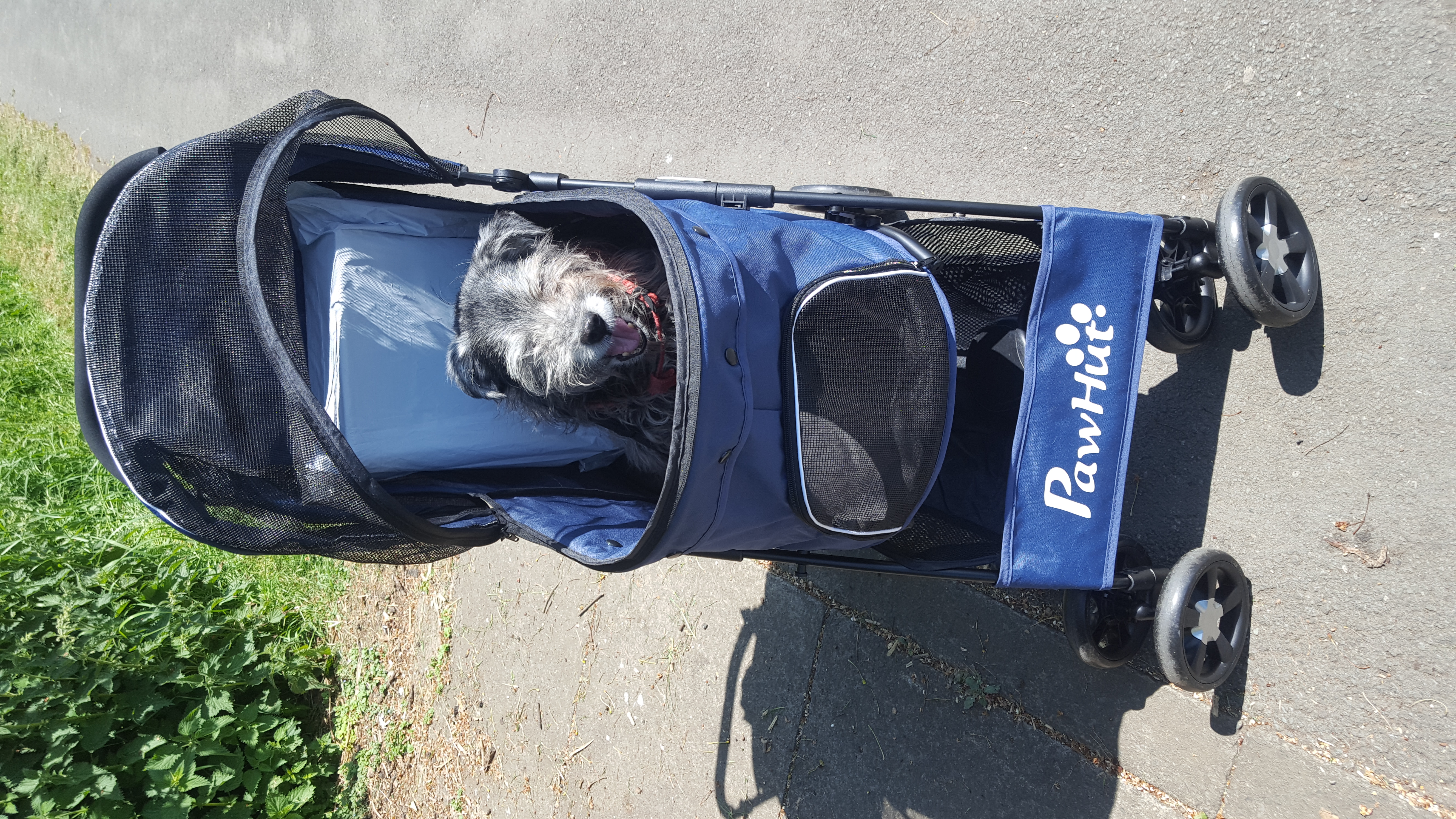 Pawhut stroller