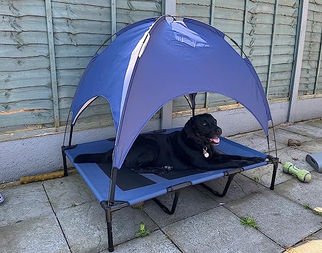 My dog loves her bed with sunshade