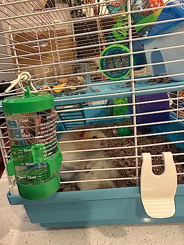 My teddy bear hamster cage