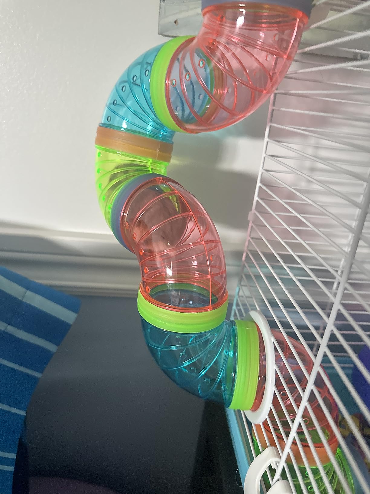 Cheese the hamster loves it !