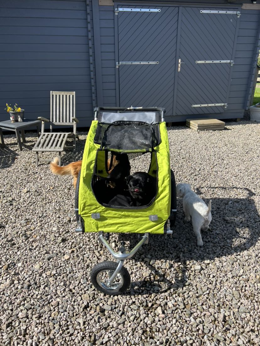 PawHut Steel Dog Bike Trailer Pet Cart Carrier for Bicycle 360