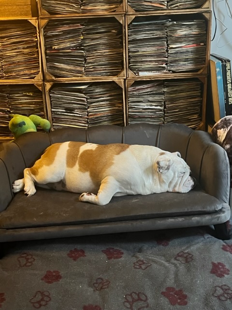 Very happy with the sofa
