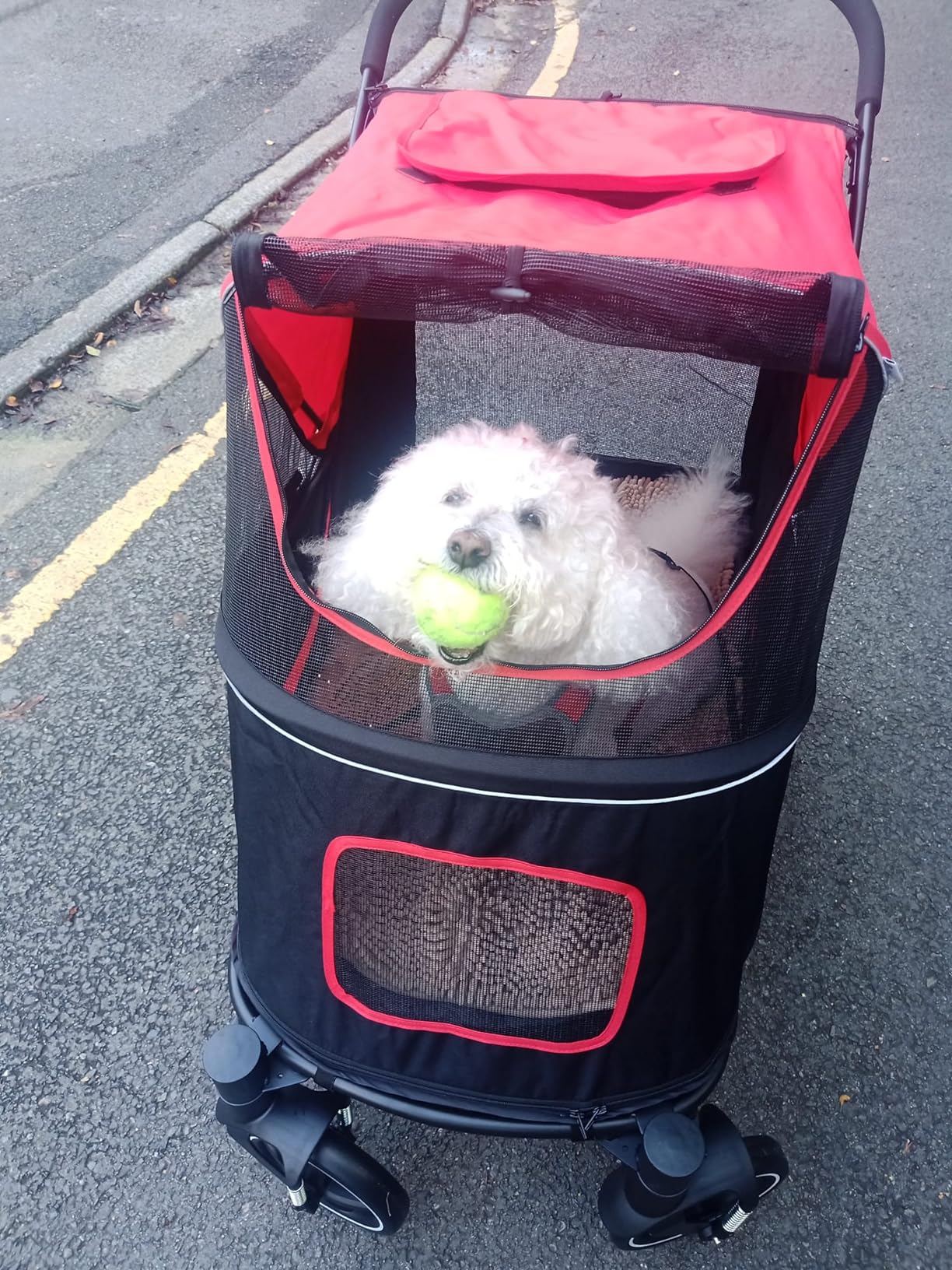 Outstanding dog pram