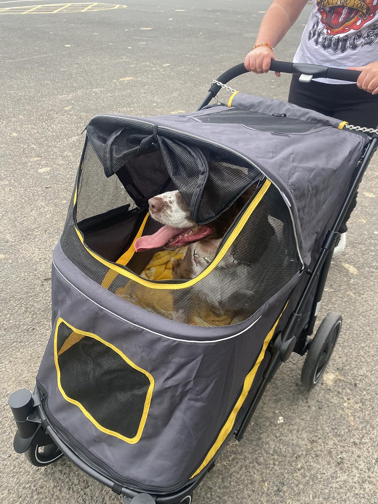 Brilliant stroller