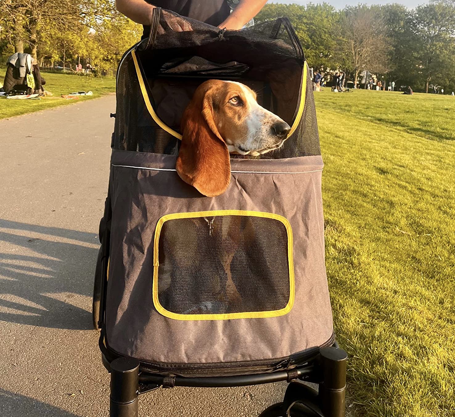 Love this stroller!