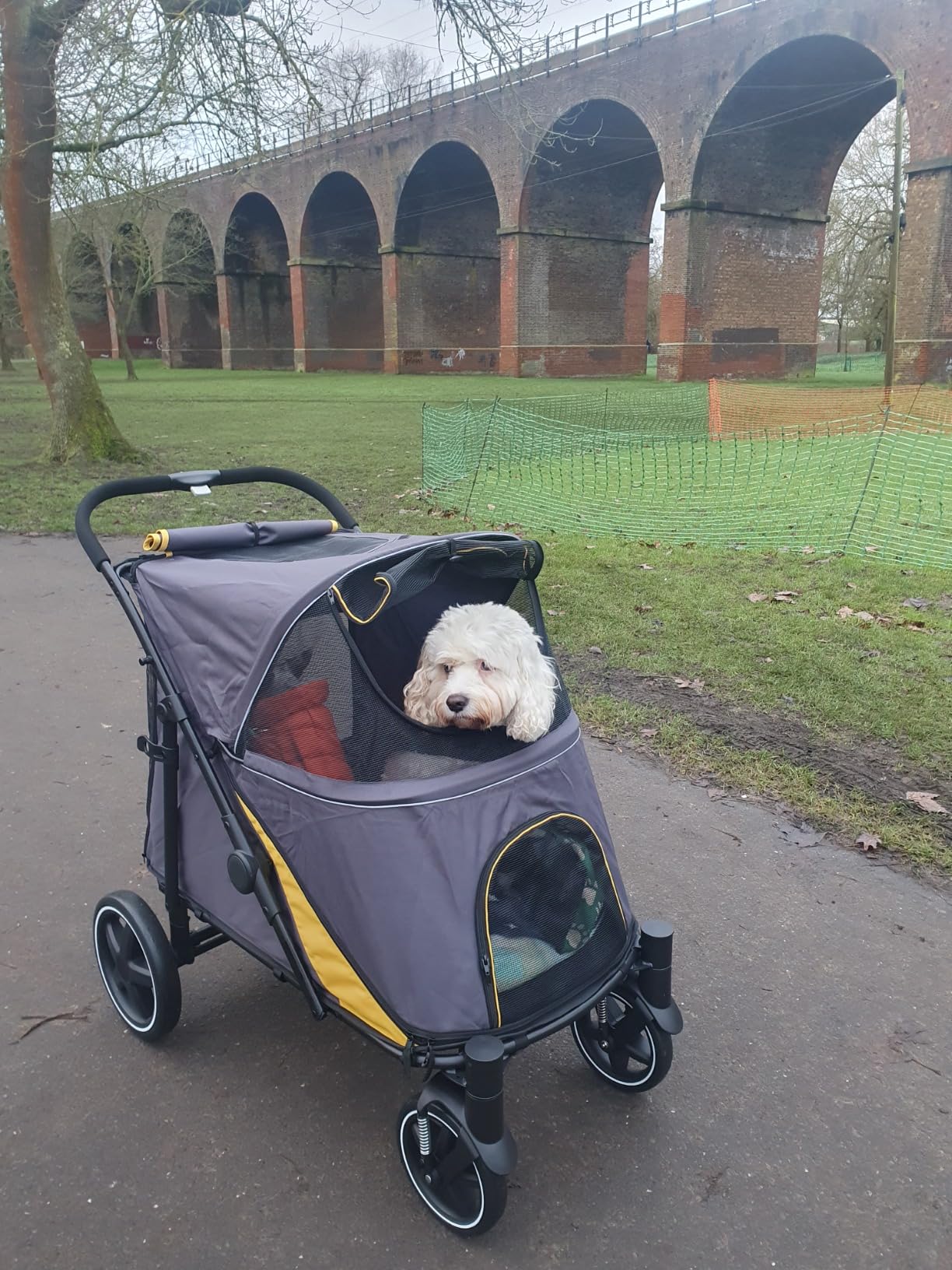 Pawsome pushchair