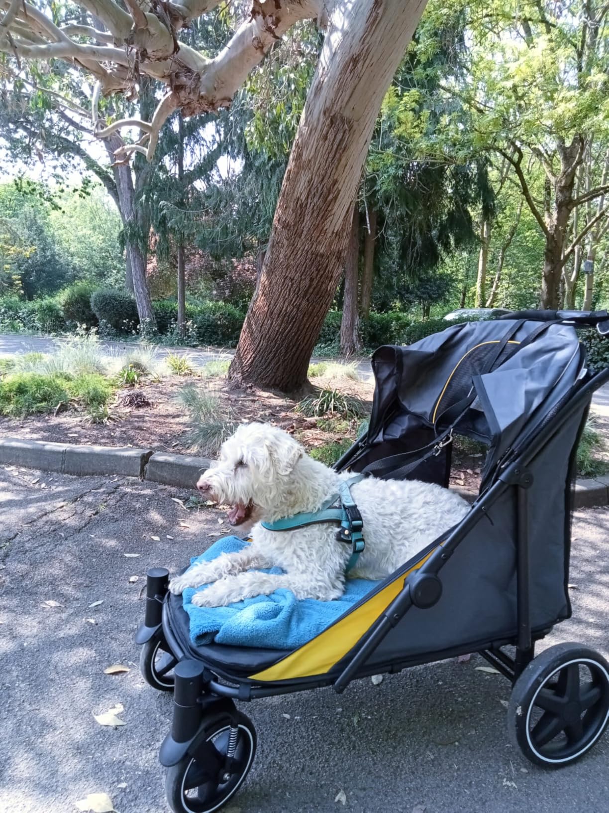 Perfect for your pooch - but needs its own garage!