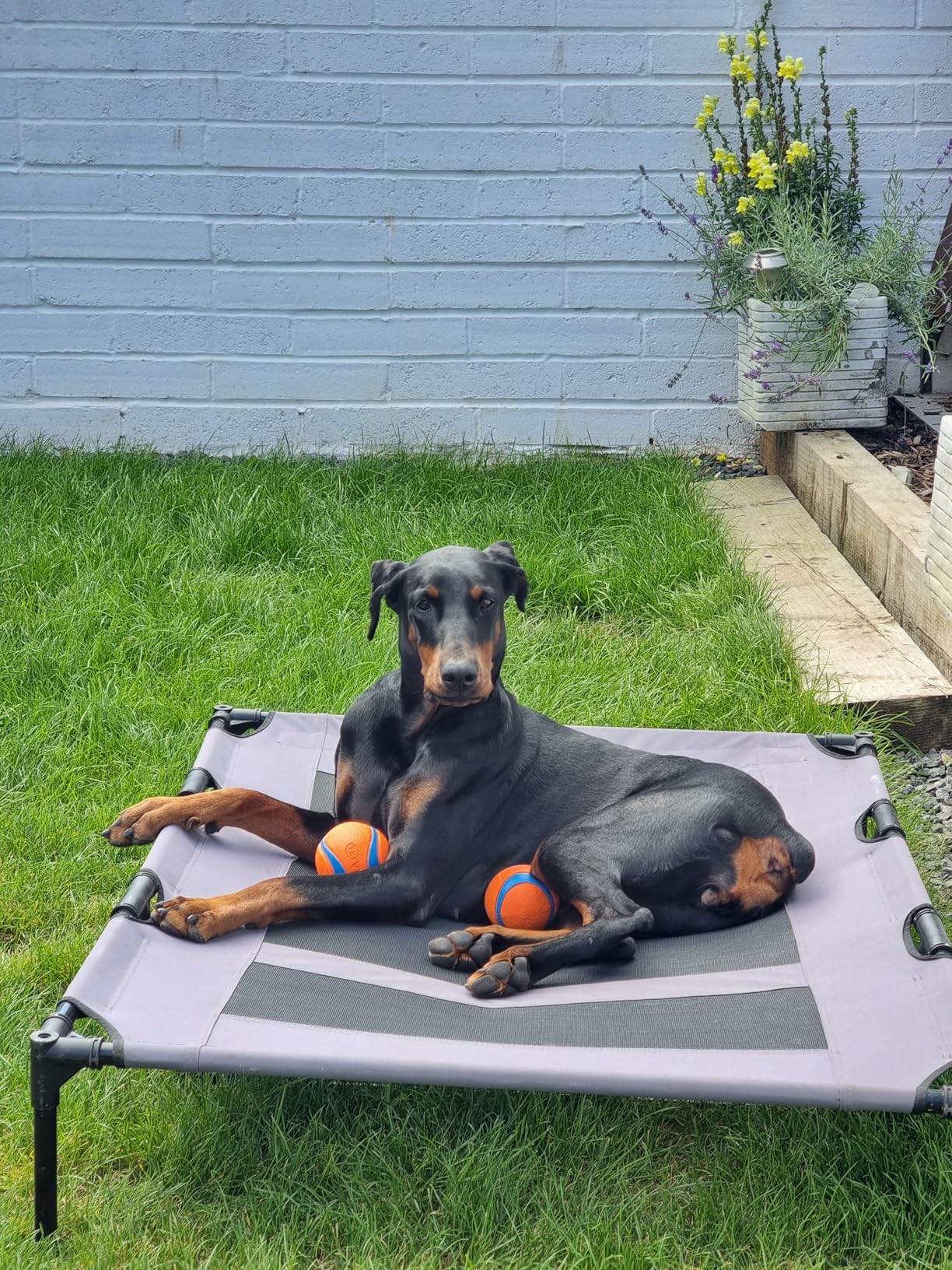 Great size, comfort, it's sturdy and easy to clean