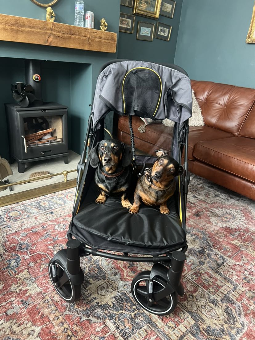 pet stroller
