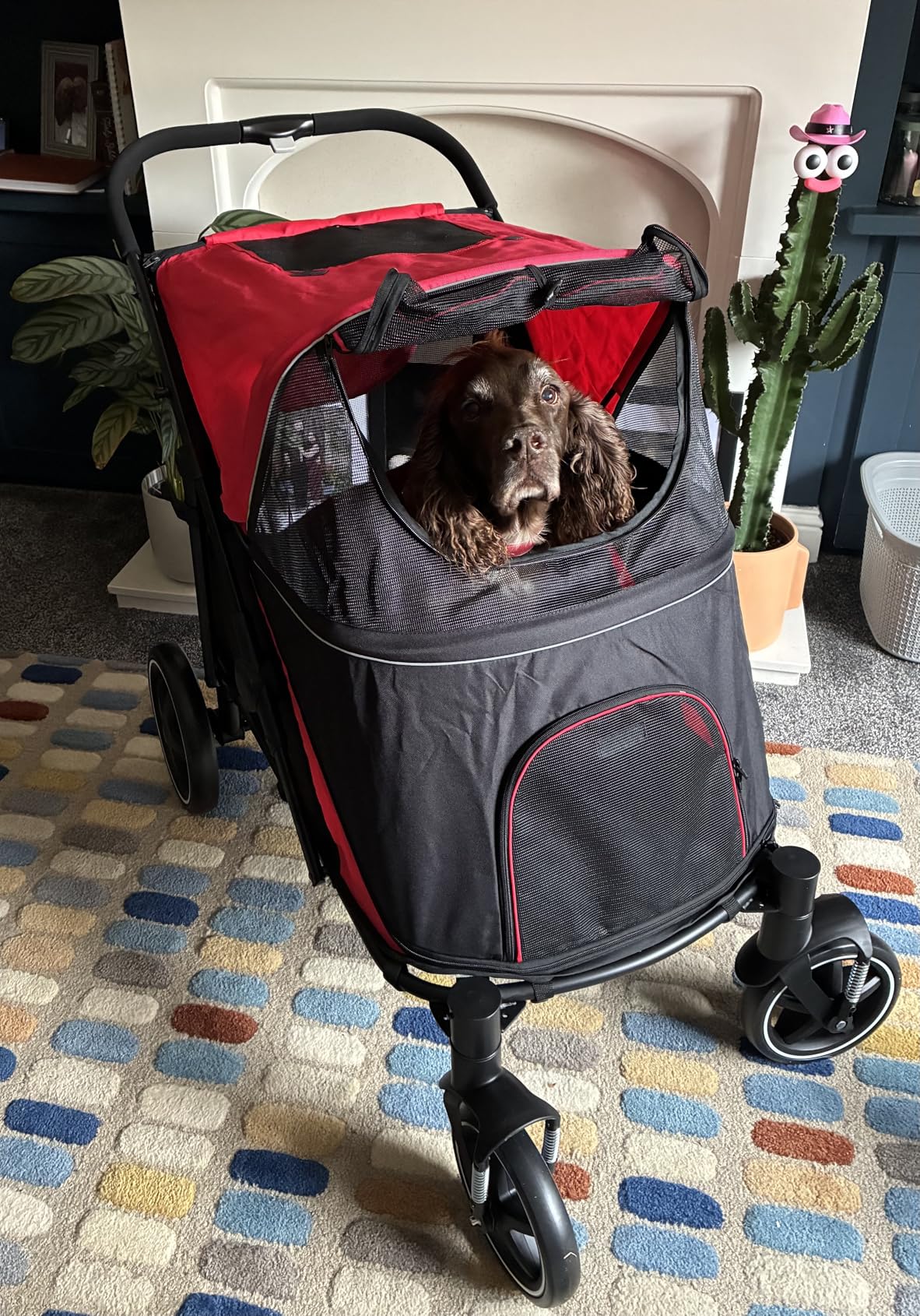Good Quality Dog Buggy
