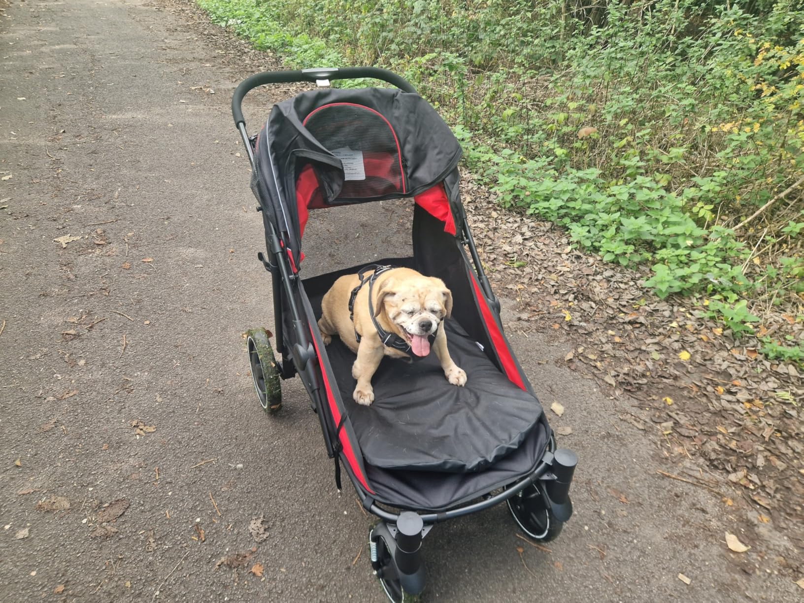 Good value and excellent for a tired Puggle