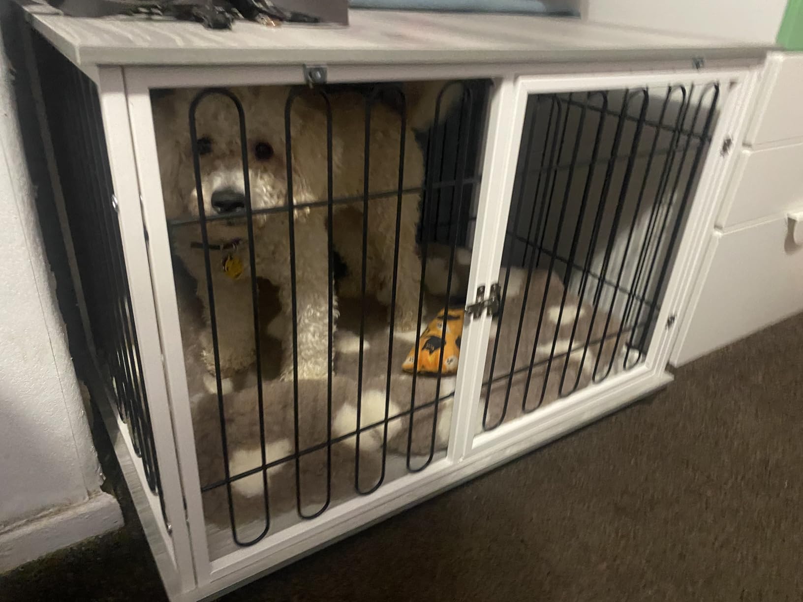 Great crate