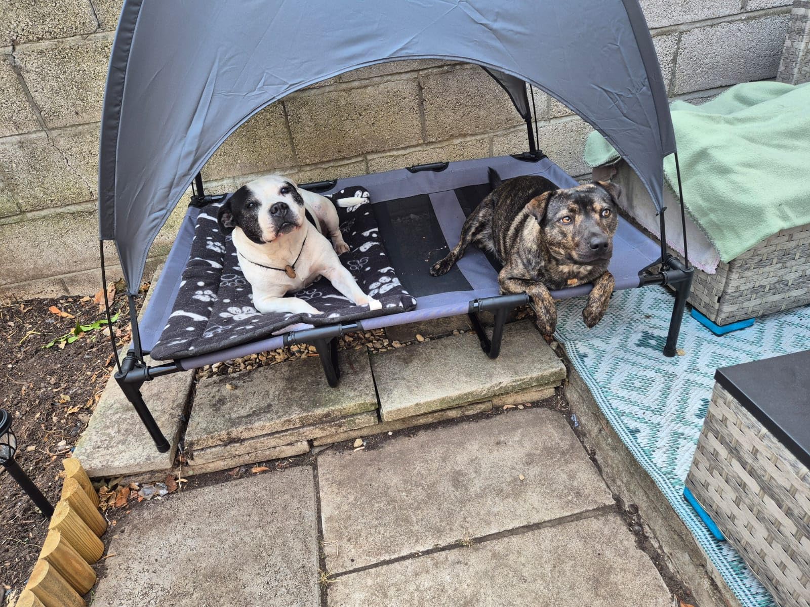 Perfect for the summer.