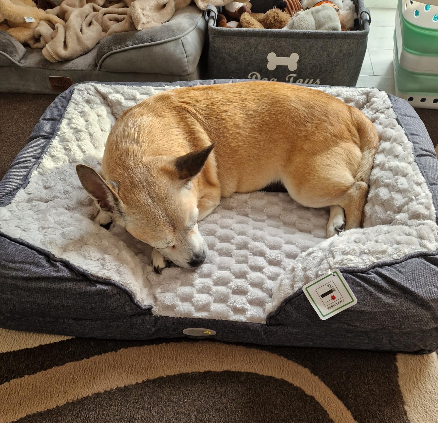 My dog loves it