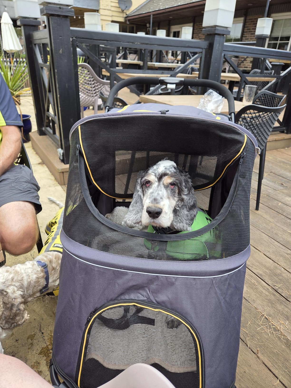 Easy to use pet stroller