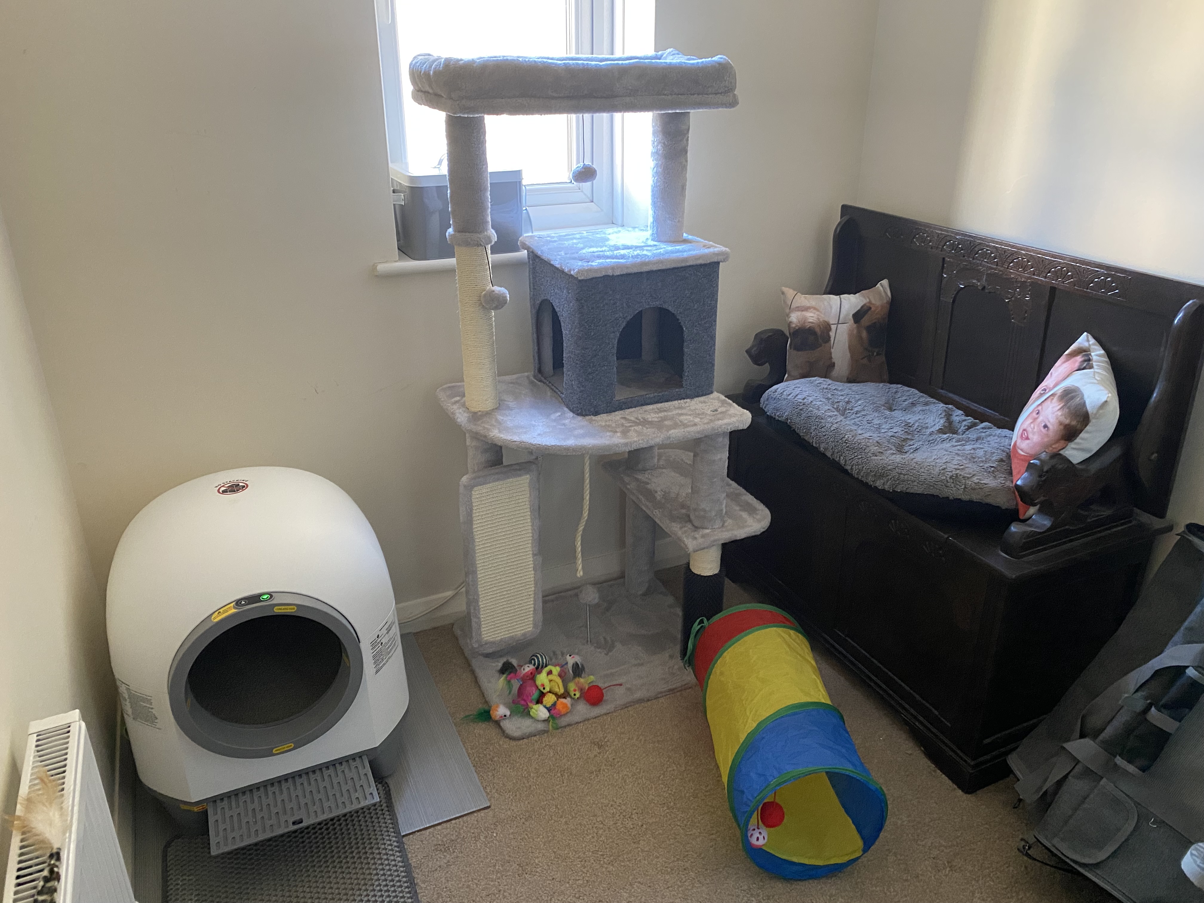 Great cat tree