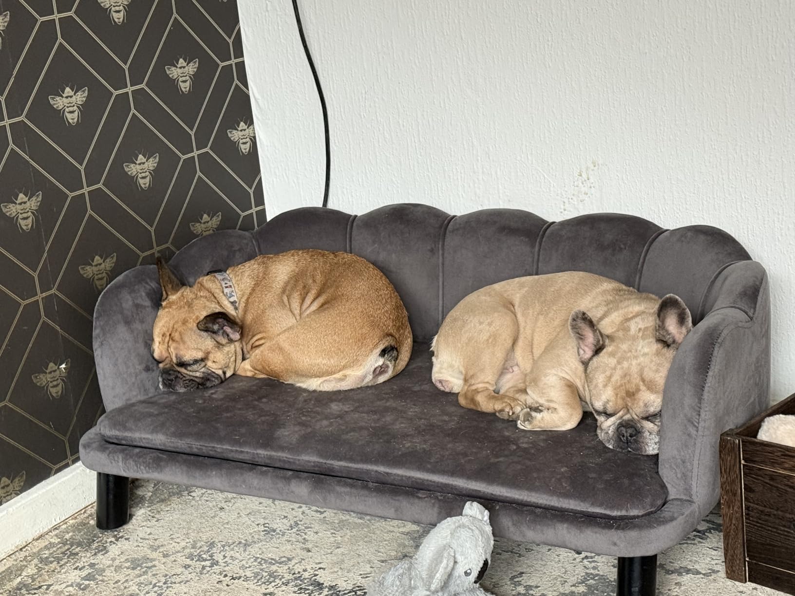 My girls love it a great sofa for them