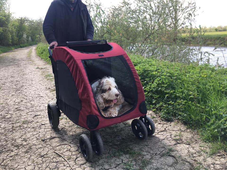 PawHut Dog Stroller 4 Wheels Foldable Pet Trolley Carrier Mesh Windows