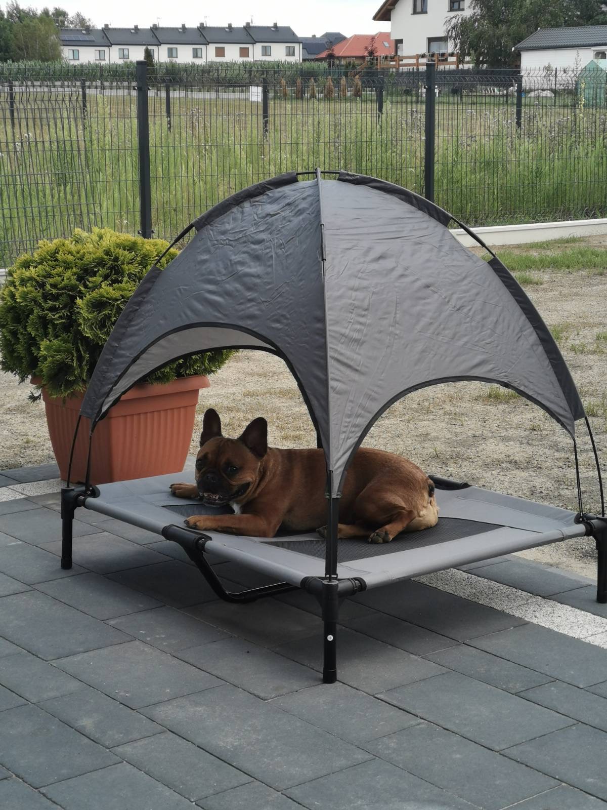 PawHut Haustierbett mit Baldachin, Erhöhtes Hundebett, Hundeliege