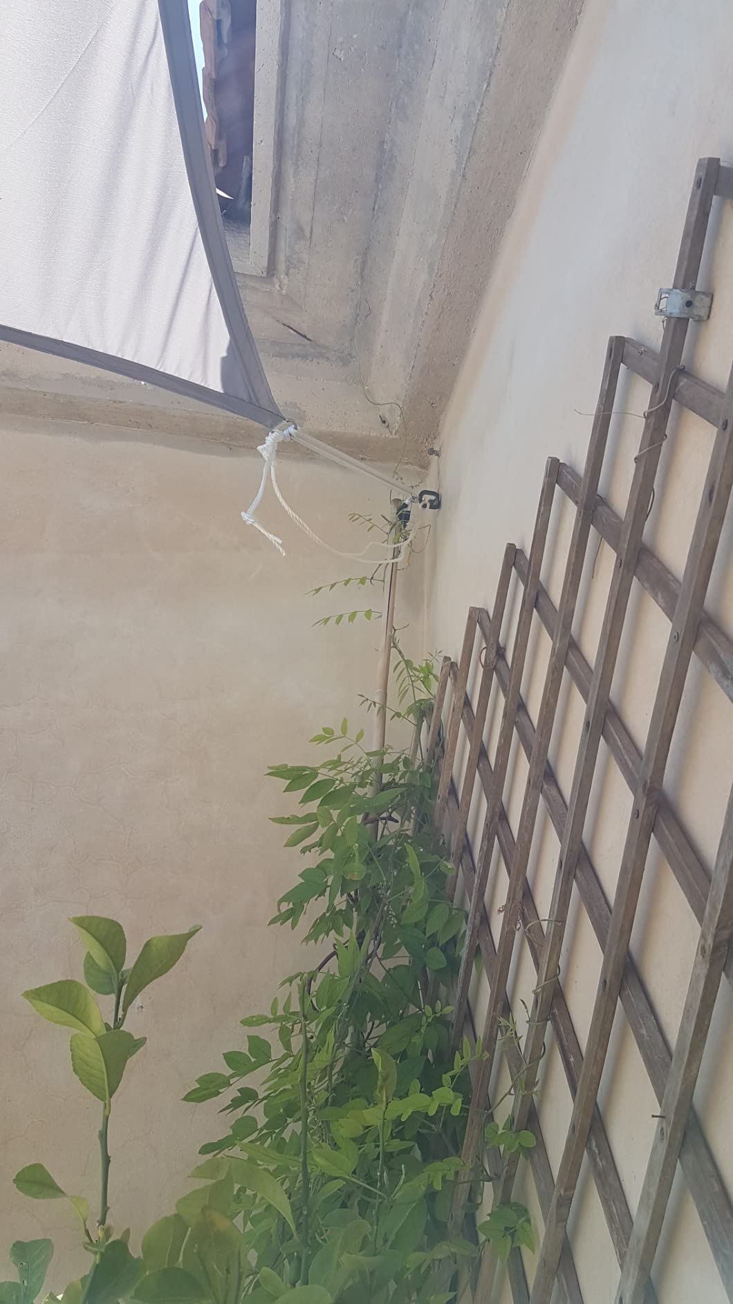 Hespéride - Toldo Vela De Sombra Triangular Curacao Blanco - 3 X 3 X 3 M 83038134