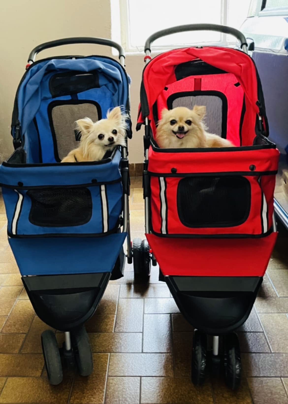 PawHut Carrello 2 In 1 Per Cani - Passeggino E Rimorchio Bici, 130x58x94cm, Blu, Per Cani Piccoli Fino 10kg