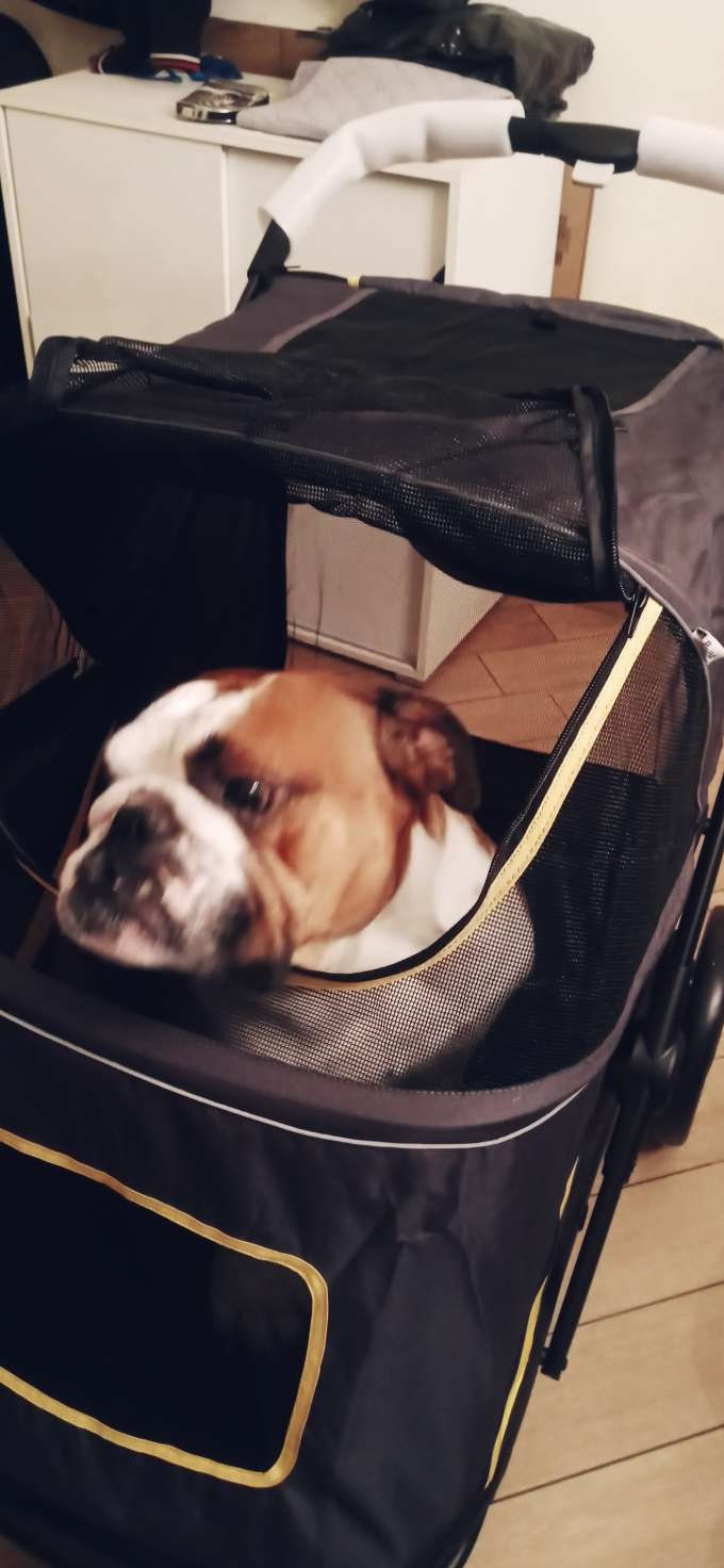ottimo passeggino