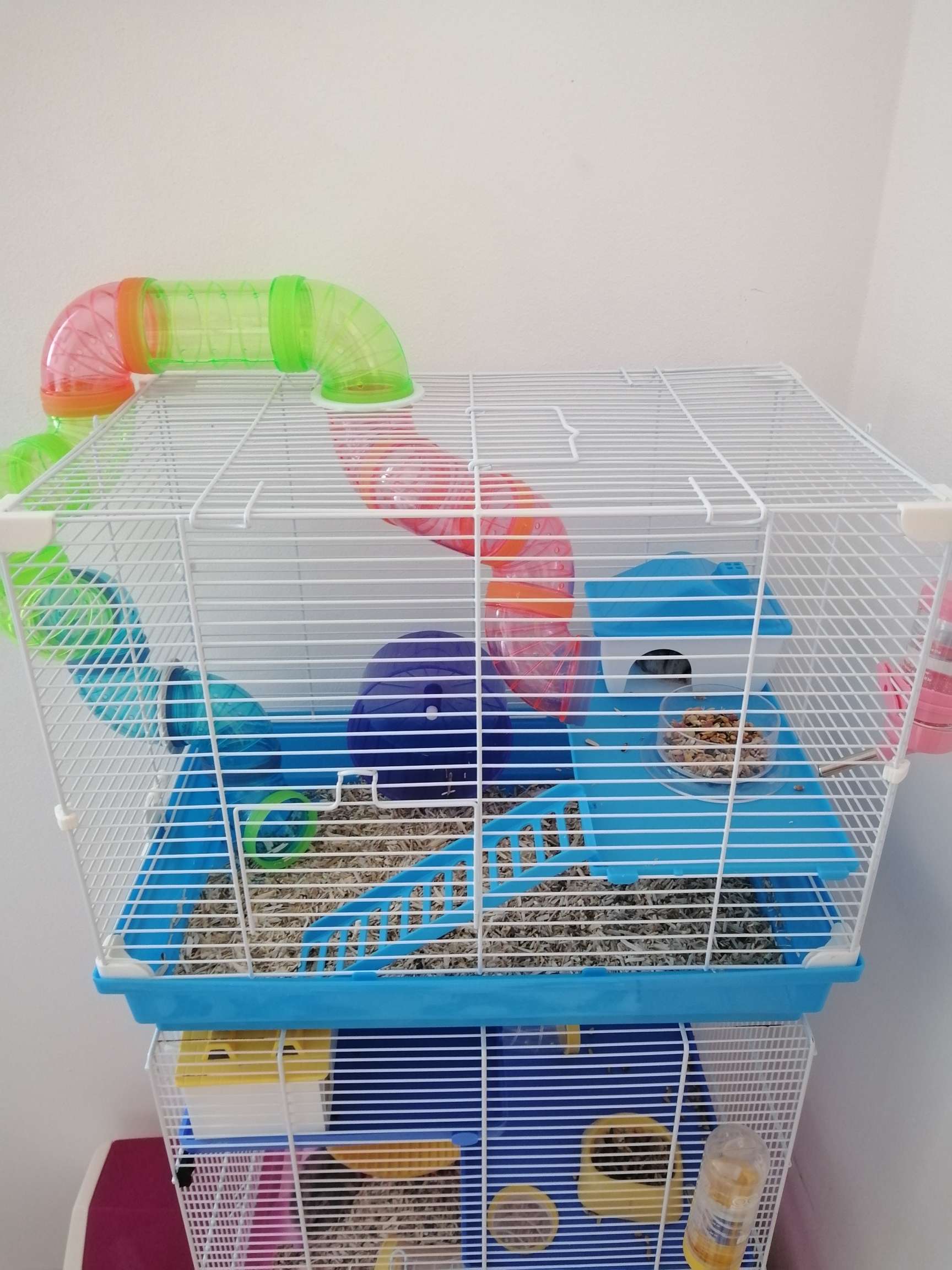 Gabbietta per Criceti