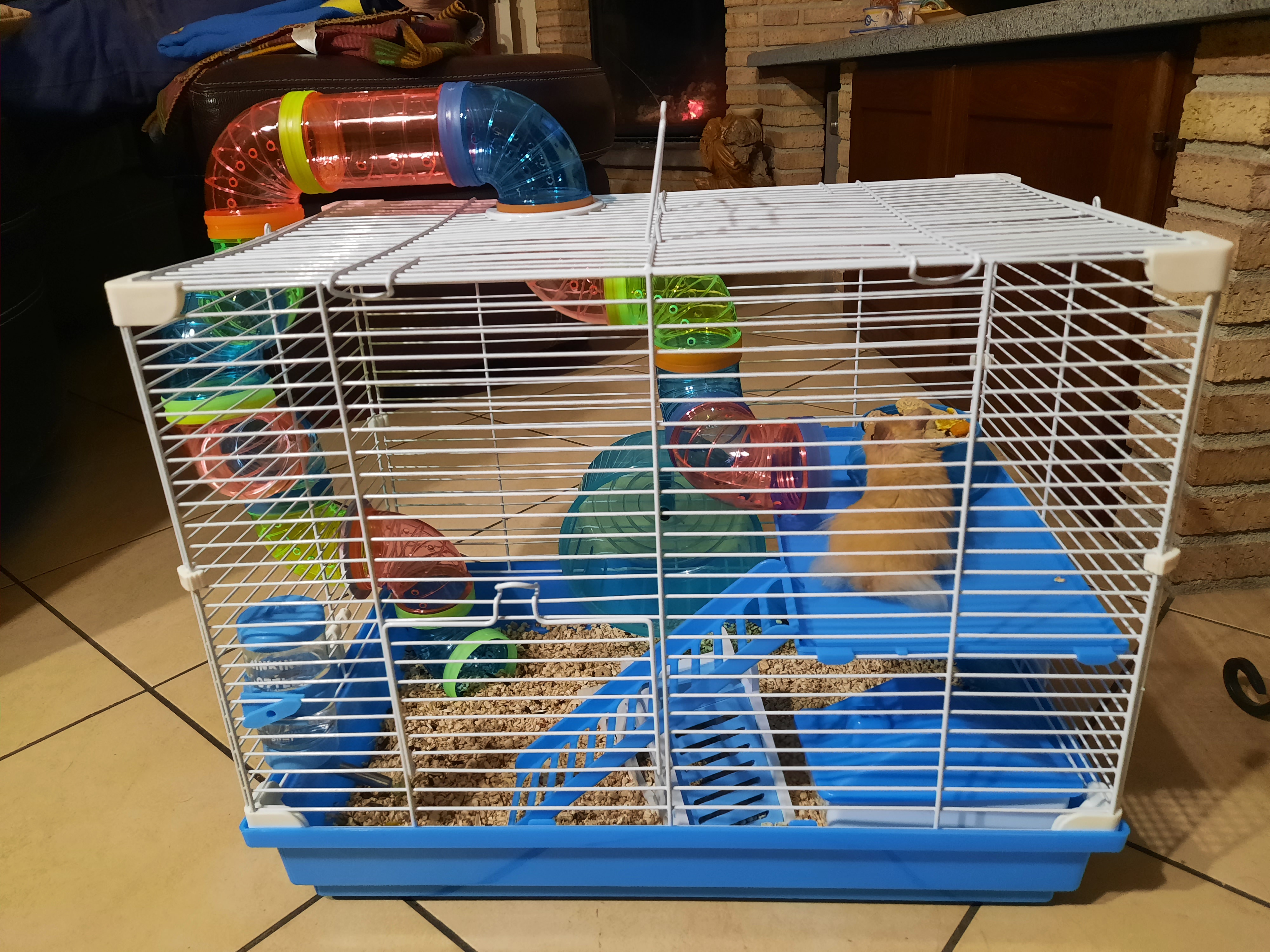 Tutto come descritto!