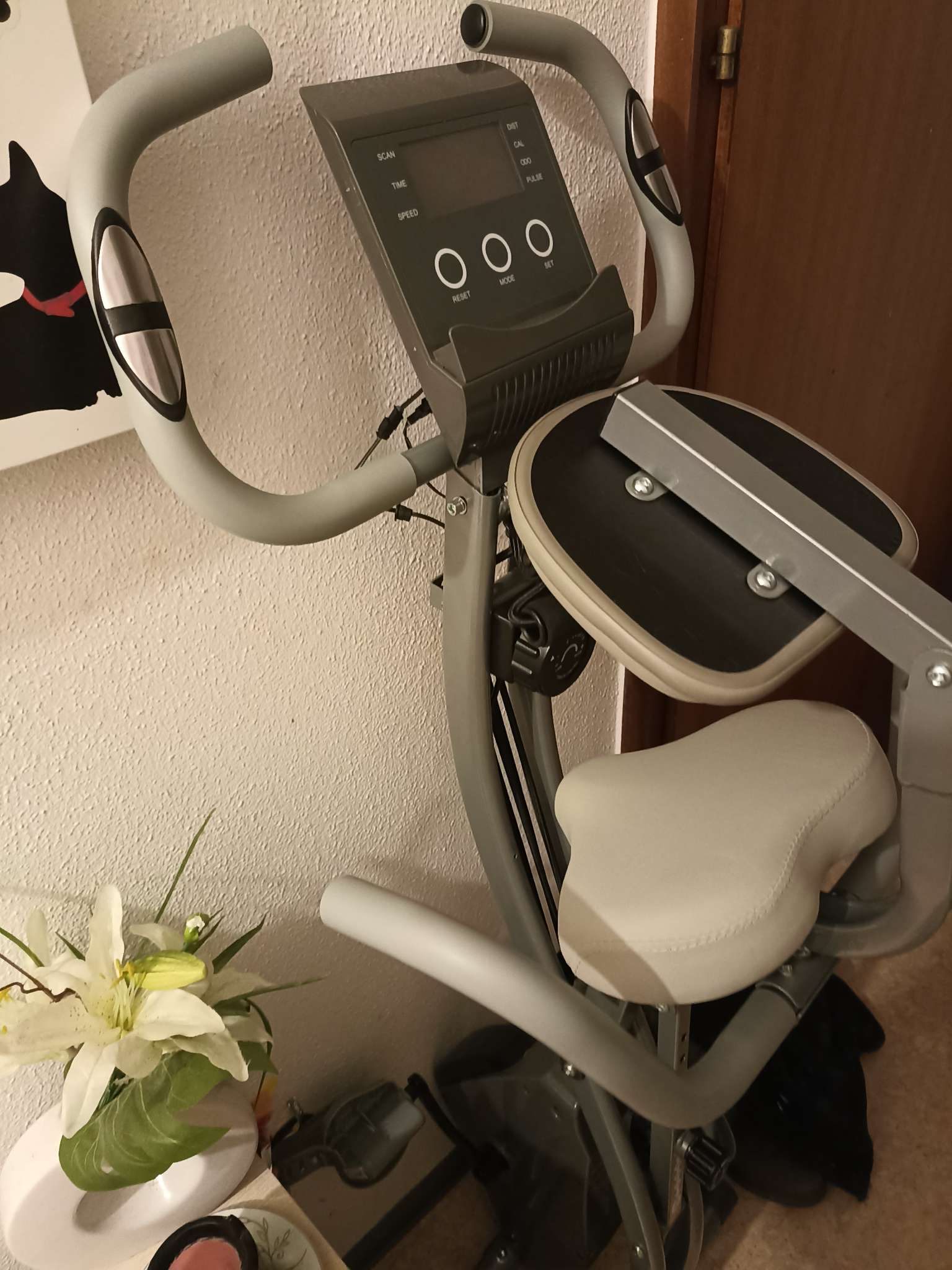 Vélo très fonctionnelle