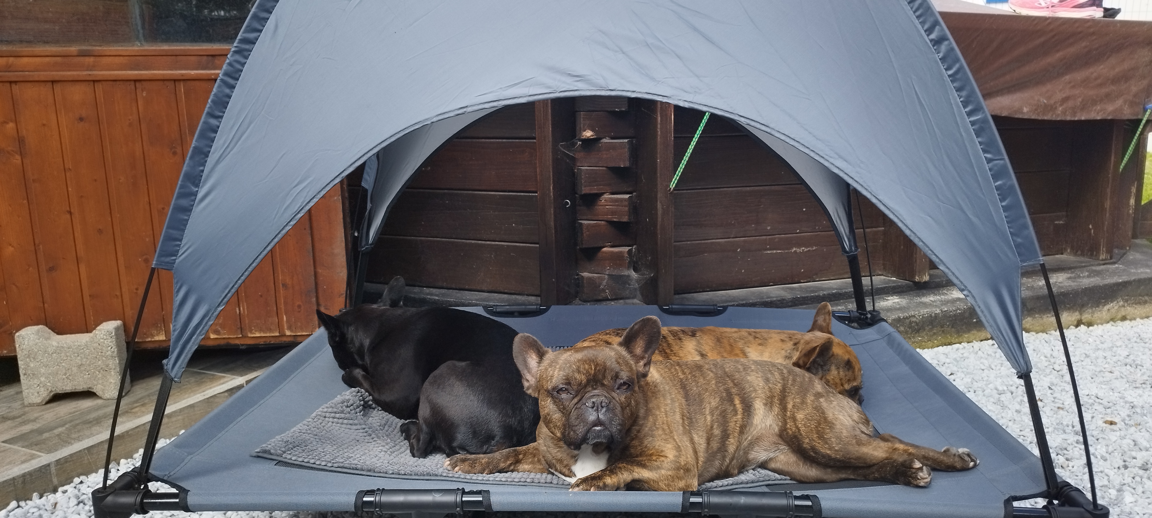 Le bonheur à l'extérieur