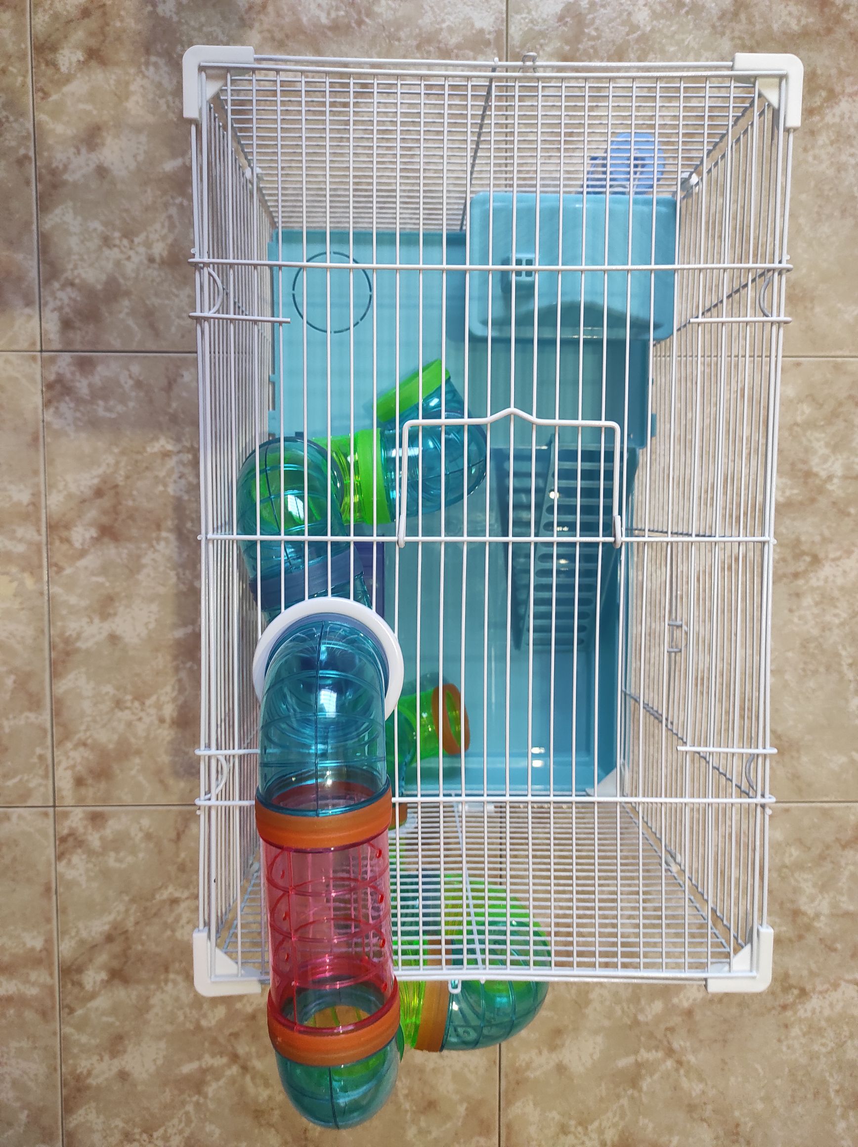 Para hamster es correcta y bonita