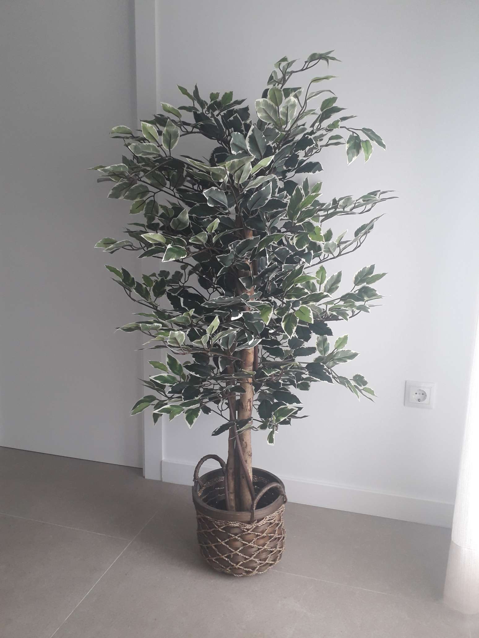 Ficus Artificiale 130cm HomCom Con Vaso - Pianta Finta Realistica Per Interni Ed Esterni - Foto 8