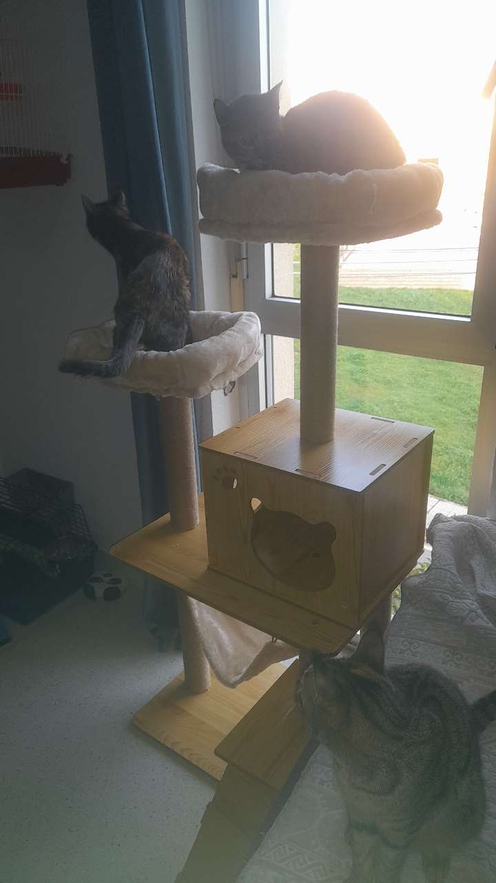 precioso regalo de reyes para mis niñas