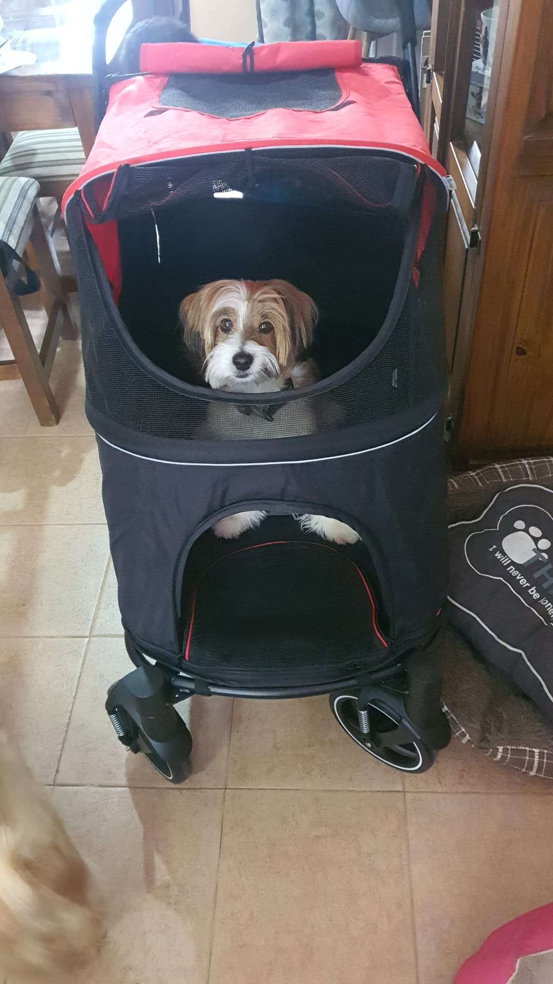se observa buena calidad