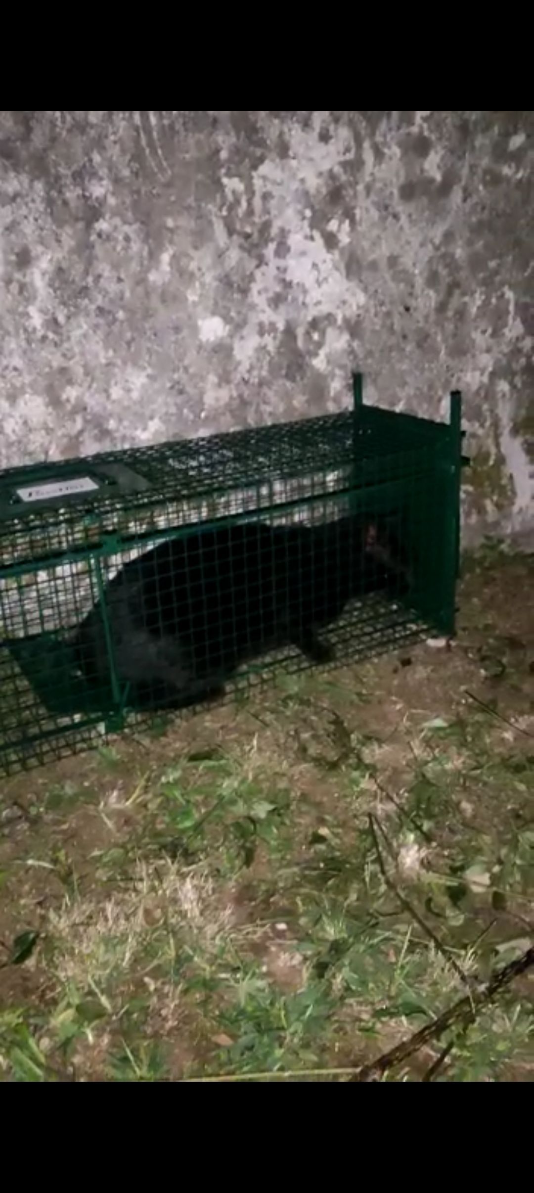 PORTA GABBIA PER esca da pesca trappola affondatore ideale per la PORTA GABBIA PER esca da pesca trappola affondatore ideale per la