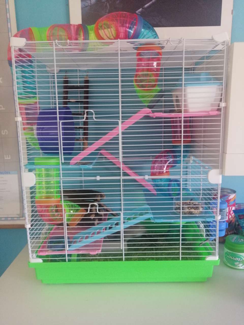 PawHut Kooi Voor Kleine Dieren Hamsterkooi Kooi Knaagdierkooi Muizenkooi Dennenhout 60 X 40 X 80 Cm~0v4o1k9v1bg01