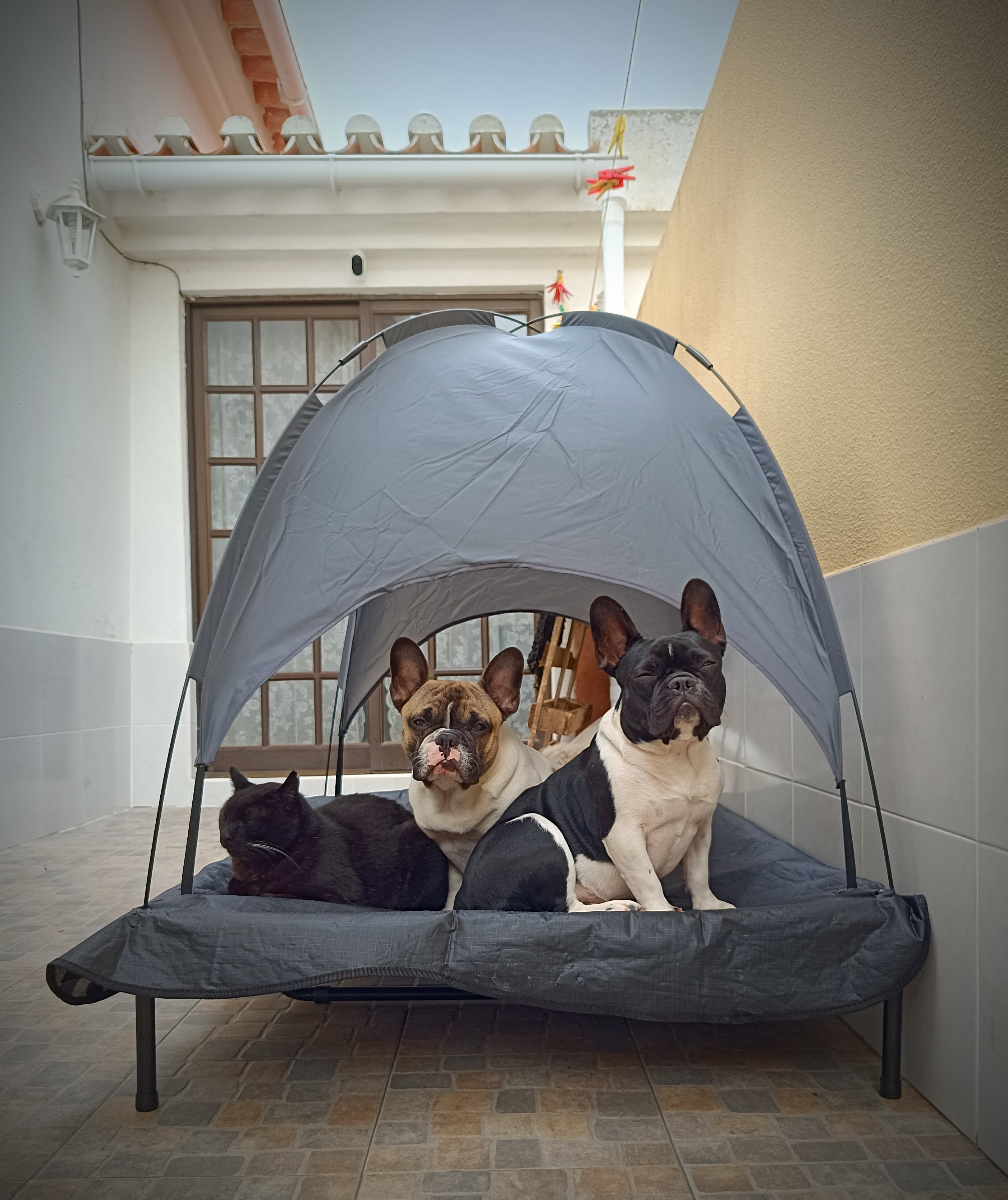 Excelente relação qualidade - preço