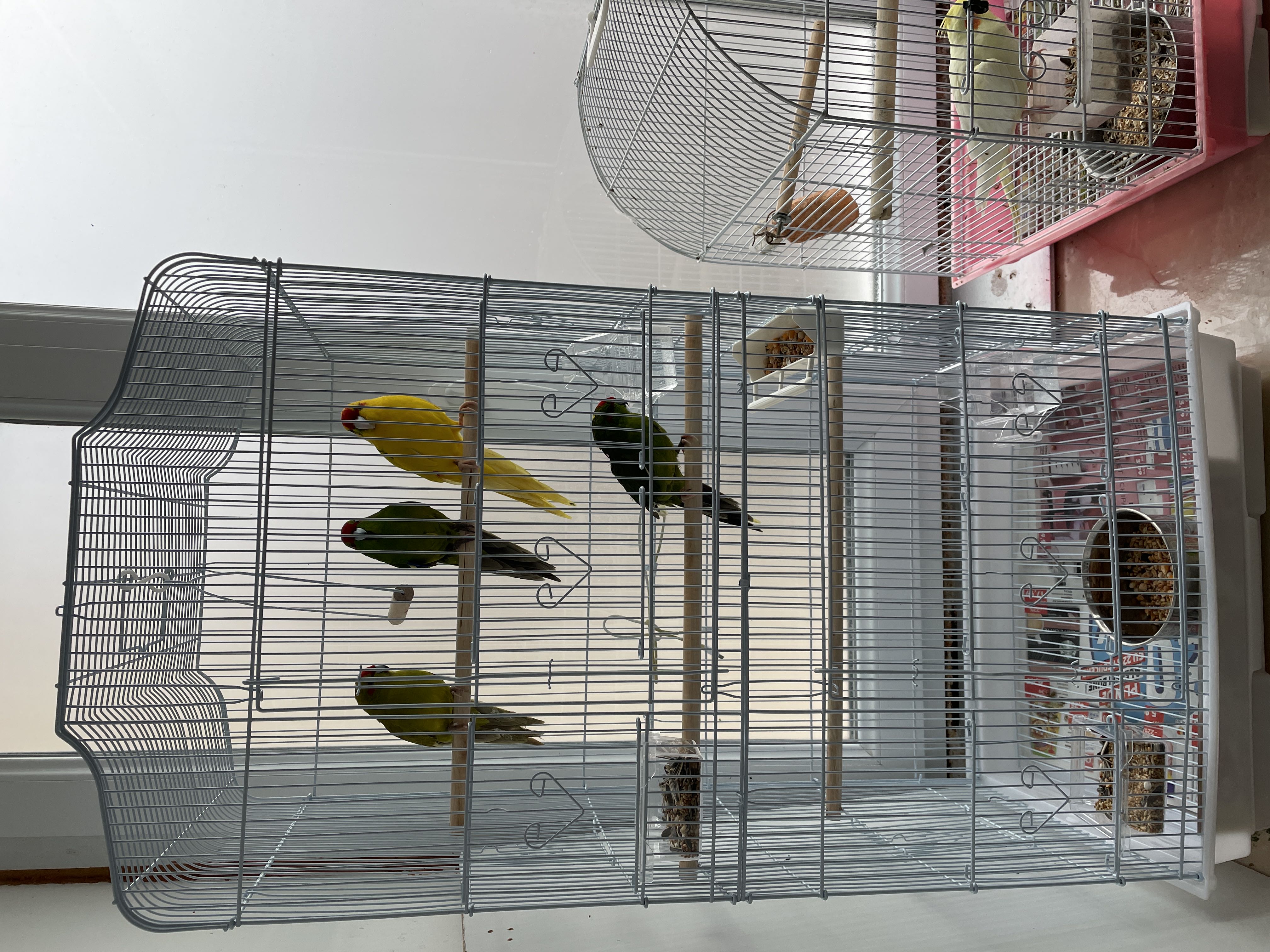 PawHut-Vogelkooi-Madera de Abeto-68x63x165 cm-Madera Natural